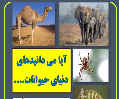 آیا می دانید های جالب برای دانش آموزان
